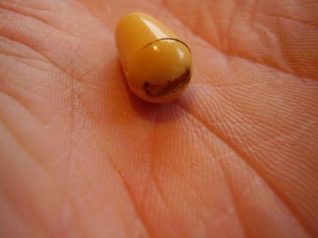 1959 ORIG DIRT 3 WAY SWITCH TIP