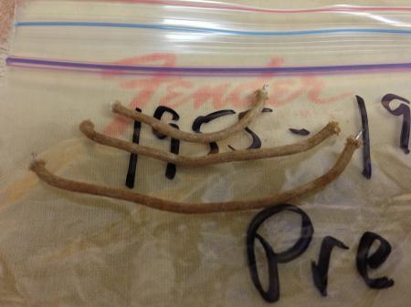 1955 to 1963 ORIG Cloth Wire Pots to Switch FENDER STRATOCASTER