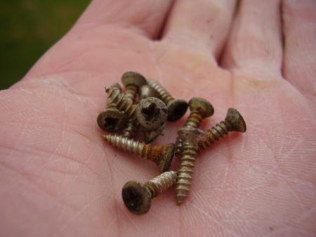 1965 ORIG FENDER STRAT PICKGUARD SCREWS