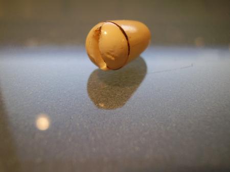 1959 ORIG Fender Stratocaster Patina 3 Way Switch Tip