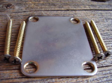 Gold Relic 22 year old Fender Strat Neck Plate with Screws