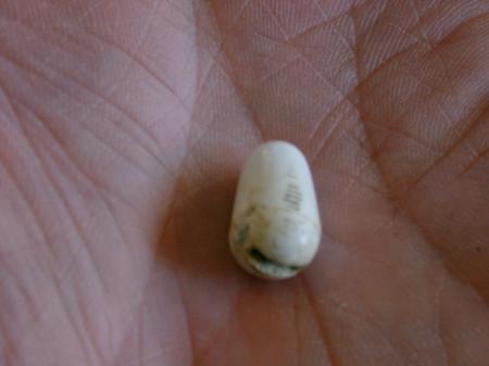 1954-56 Bakelite  FENDER STRATOCASTER VINTAGE Tip