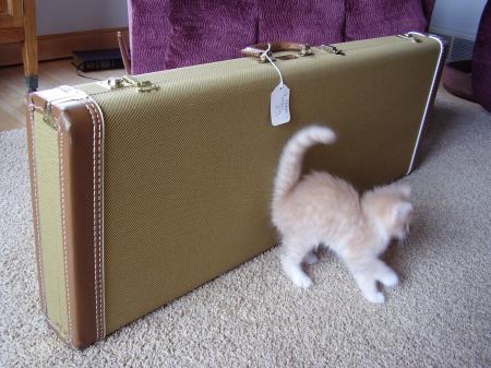 1956 Tweed Relic Fender Stratocaster Case