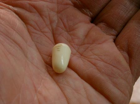 1961 Pre CBS Switch Tip